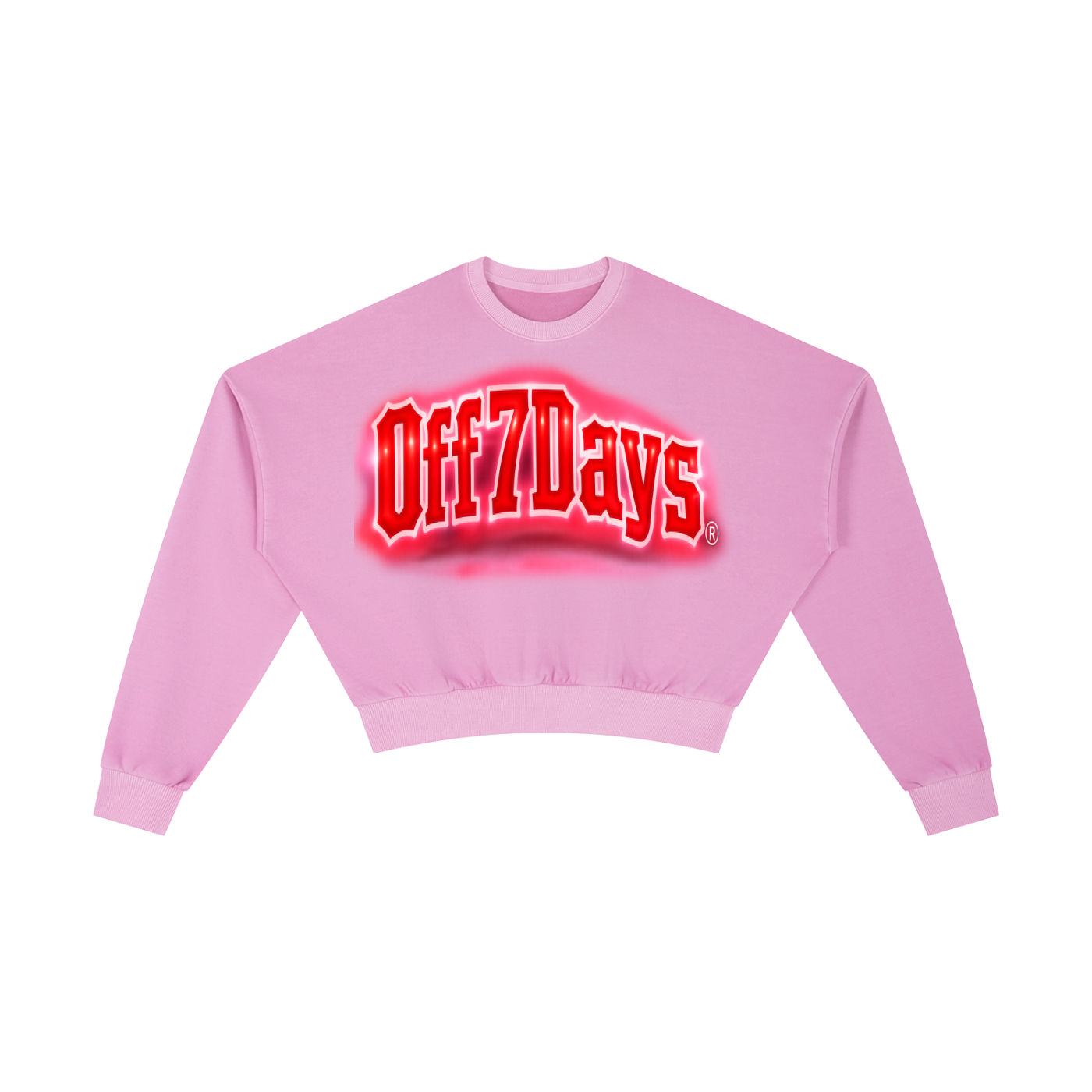 Vintage Washed Cropped Sweatshirt