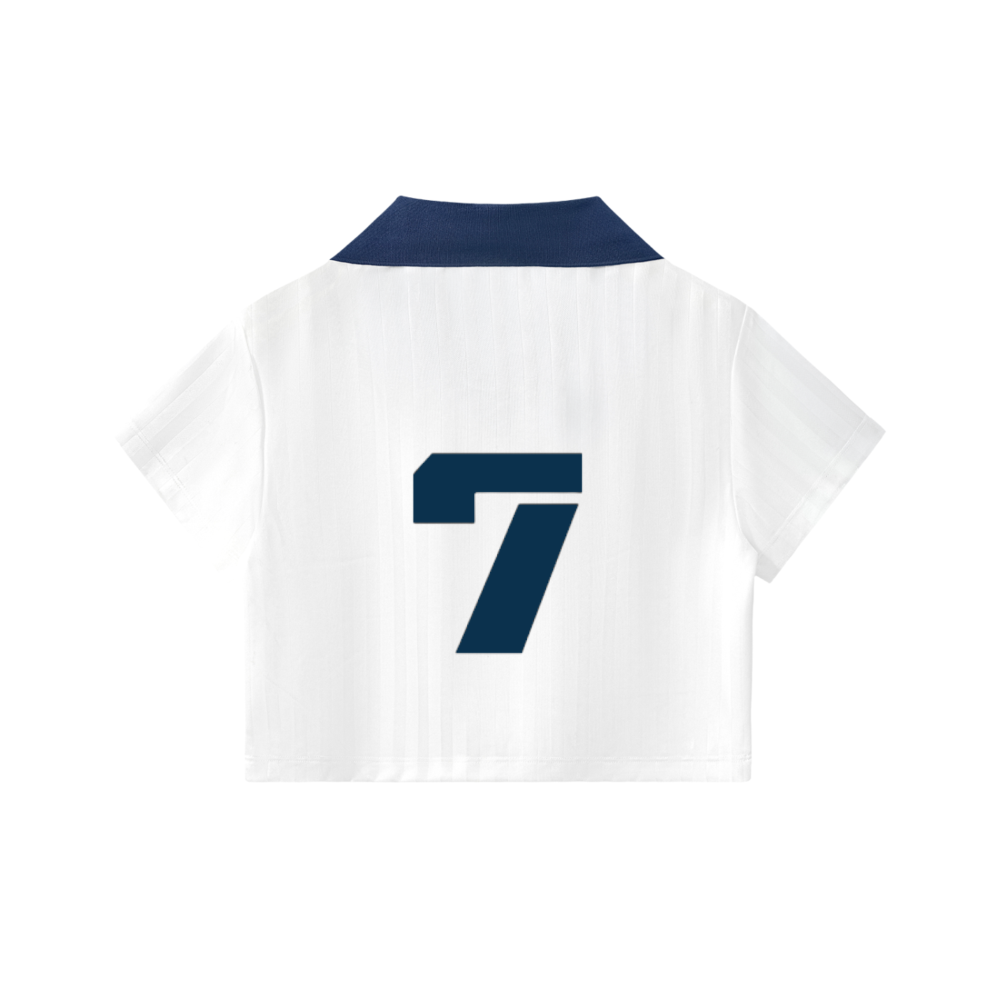 Women Ice Blue Cropped Jersey