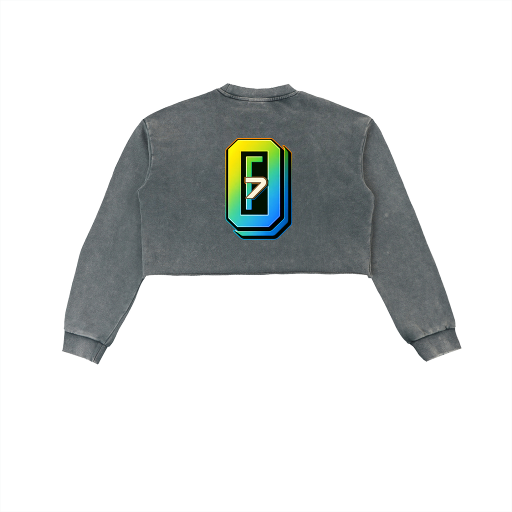 Snow Washed Raw Edge Cropped Sweatshirt