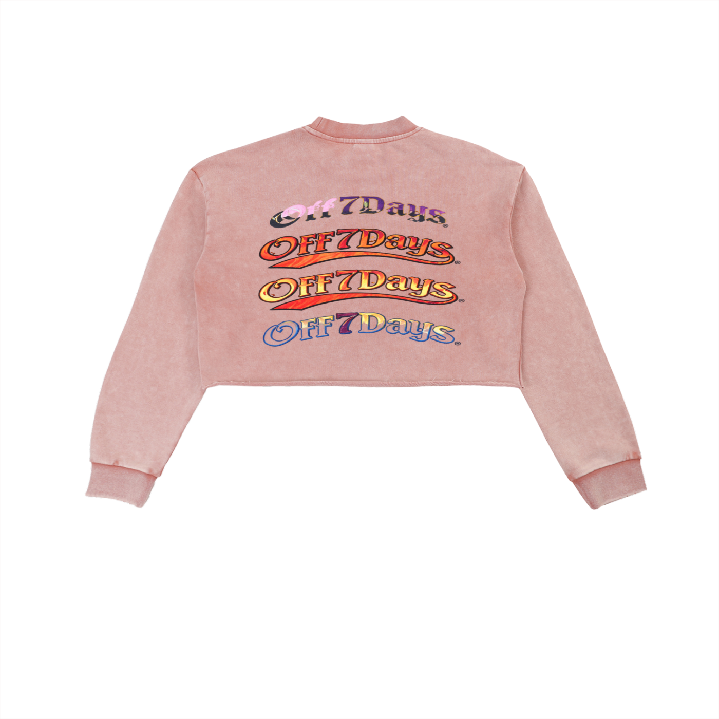 Snow Washed Raw Edge Cropped Sweatshirt